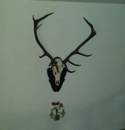 Haslgut Πανσιόν Fuschl am See